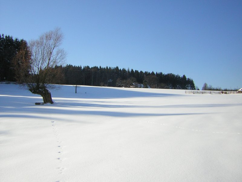 februari 2005