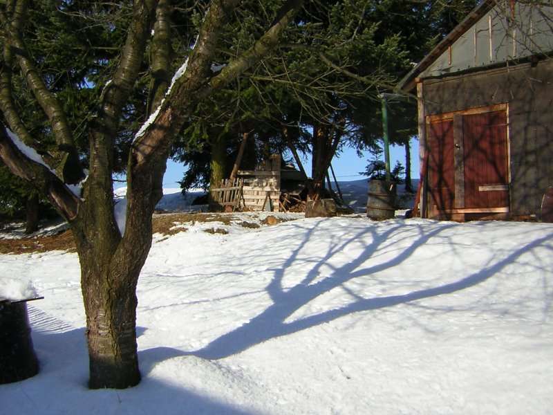 februari 2005