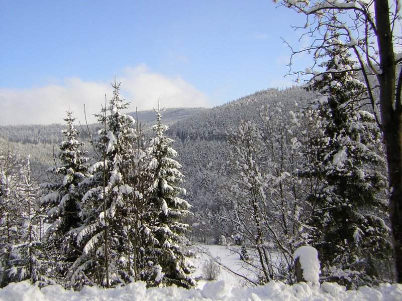 Spindl, oktober 2004